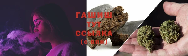 эйфоретик Алзамай