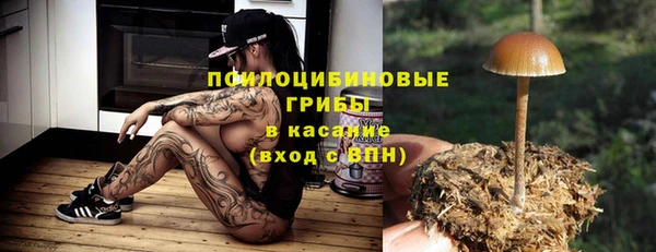 эйфоретик Алзамай