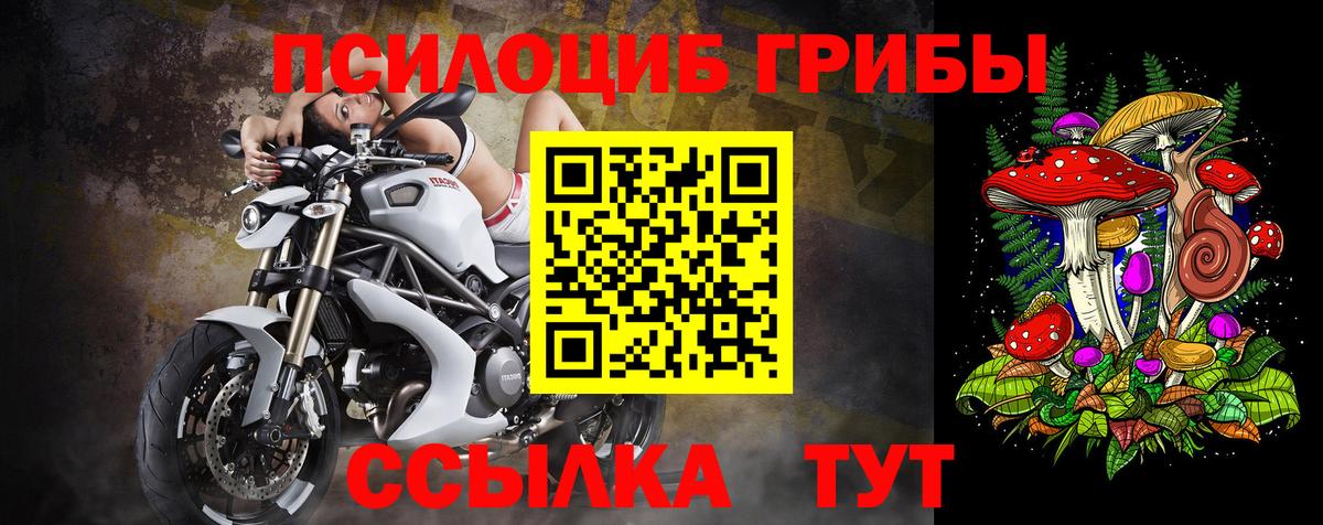 цена наркотик  Псилоцибиновые грибы GOLDEN TEACHER  Вход с VPN  Бирск 